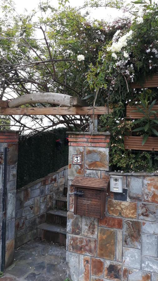 Kostanalu Rooms Plentzia Dış mekan fotoğraf